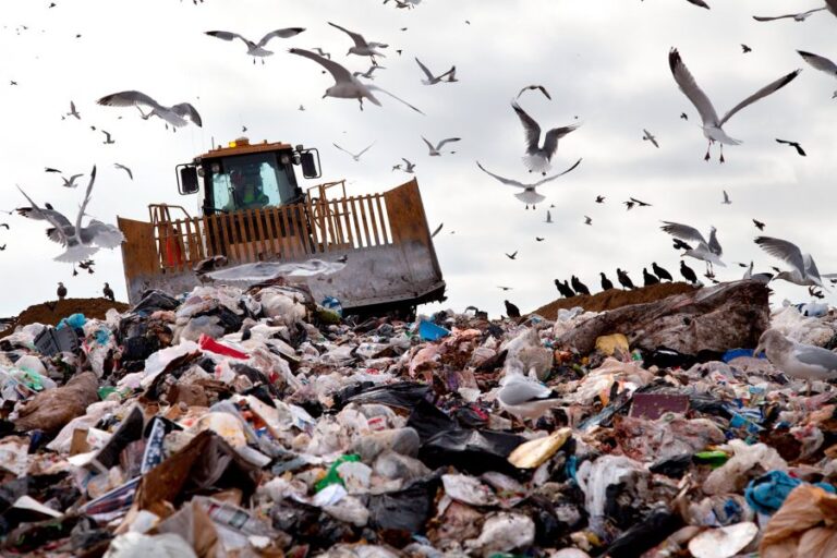 Waste Cycle